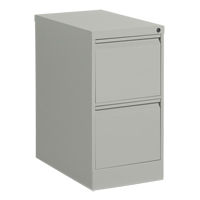 Vertical Filing Cabinet, Steel, 2 Drawers, 15-1/7" W x 25" D x 29" H, Grey Helyx Safety & Industrial Supplies
