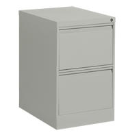 Vertical Filing Cabinet, Steel, 2 Drawers, 18-1/7" W x 25" D x 29" H, Grey Helyx Safety & Industrial Supplies