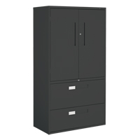 Armoire Multi-Stor, Acier, 3 Tablettes, 65-1/4" h x 36" la x 18" P, Noir Helyx Safety & Industrial Supplies