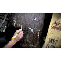 Quik Stik&reg; Twist-Up Paint Markers, Solid Stick, White Helyx Safety & Industrial Supplies