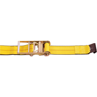 Tendeurs d'arrimage &agrave; cliquet, Crochet plat, 4" , 30' , Charge d'utilisation max. 5400 lb (2450 kg) Helyx Safety & Industrial Supplies