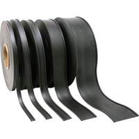 Porte-&eacute;tiquette, Magn&eacute;tique, 600" lo x 2" la Helyx Safety & Industrial Supplies