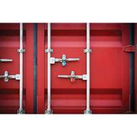 High Security Security Seal, 3-1/4", Metal, Bolt Seal Helyx Safety & Industrial Supplies
