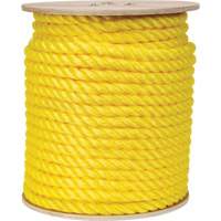 Corde jaune tress&eacute;e, Polypropyl&egrave;ne, 300' Helyx Safety & Industrial Supplies
