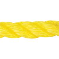 Corde jaune tress&eacute;e, Polypropyl&egrave;ne, 300' Helyx Safety & Industrial Supplies