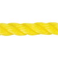 Corde jaune tress&eacute;e, Polypropyl&egrave;ne, 144' Helyx Safety & Industrial Supplies