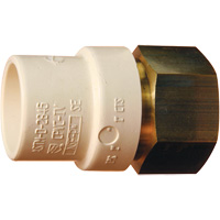 Threaded Pipe Adapter, Hub x FPT, 1" Dia., Brass/CPVC Helyx Safety & Industrial Supplies