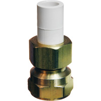 Transition Adapter, 1/2" Dia., Brass/CPVC Helyx Safety & Industrial Supplies