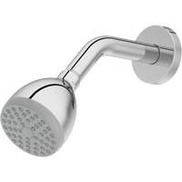 Pomme de douche monofonctionnelle Helyx Safety & Industrial Supplies
