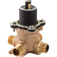 Valve brute pour baignoire et douche de s&eacute;rie 0X8 Helyx Safety & Industrial Supplies