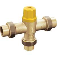 Mitigeur thermostatique pour lajustement de la temp&eacute;rature Helyx Safety & Industrial Supplies