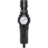Manual Drain Filter/Regulator with Metal Bowl Modulair 300, 1/4" NPT, 250 PSI, 5.1 fl. oz. Capacity Helyx Safety & Industrial Supplies