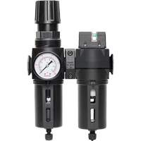 Manual Drain Filter, Regulator & Coalescing Filter with Standard Bowl Modulair 300, 1/4" NPT, 150 PSI, 5.1 fl. oz. Capacity Helyx Safety & Industrial Supplies