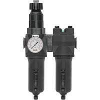 Manual Drain Filter, Regulator & Coalescing Filter with Metal Bowl Modulair 400, 1/4" NPT, 200 psi, 9.1 fl. oz. Capacity Helyx Safety & Industrial Supplies