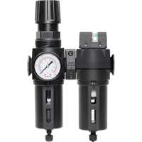 Filter/Regulator & Coalescing Filter Modulair 300 with Standard Bowl & Manual Drain, 3/8" NPTF, 150 PSI, 5.12 fl. oz. Capacity Helyx Safety & Industrial Supplies