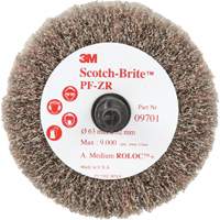 Scotch-Brite Roloc Cut and Polish Flap Brush, PF-ZR, Aluminum Oxide, Medium Grit, 2-1/2" x 1-1/4" Helyx Safety & Industrial Supplies