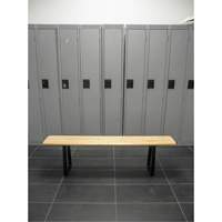 Locker Room Bench, Wood, 48" L x 9-1/2" W x 16-1/2" H Helyx Safety & Industrial Supplies