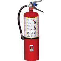 Extincteur d'incendie, ABC, Capacit&eacute; 10 lb Helyx Safety & Industrial Supplies