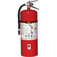 Extincteur d'incendie, ABC, Capacit&eacute; 20 lb Helyx Safety & Industrial Supplies