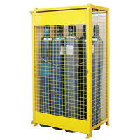 Armoires pour cylindres &agrave; gaz, nbre de bouteilles: 10, 44" , 30" , 74" , Jaune Helyx Safety & Industrial Supplies