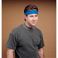 ALLEGRO INDUSTRIES Standard Cooling Wrap, Blue Helyx Safety & Industrial Supplies