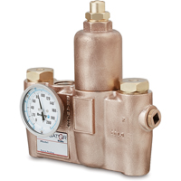 Thermostatic Mixing Valves, 19.5 GPM Helyx Safety & Industrial Supplies