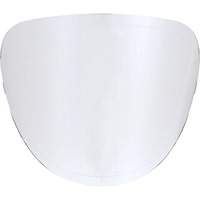 Lentilles de rechange Helyx Safety & Industrial Supplies