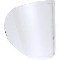 Lentilles de rechange Helyx Safety & Industrial Supplies