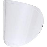 Lentilles de rechange Helyx Safety & Industrial Supplies