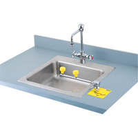 Swing-Away Eyewash Station, Counter-Mount Installation Helyx Safety & Industrial Supplies