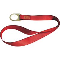 PointGuard Anchorage Connector Straps, D-Ring, Temporary Use Helyx Safety & Industrial Supplies