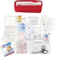 First Aid Kit, Class 1 Medical Device, Nylon Bag Helyx Safety & Industrial Supplies
