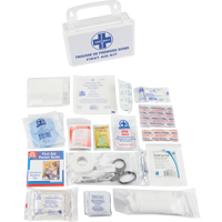 First Aid Kit, Class 1 Medical Device, Plastic B Helyx Safety & Industrial Supplies