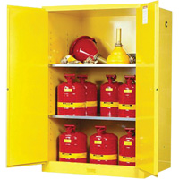 Armoires Sure-Grip EX pour produits inflammables, 90 gal., 2 Porte(s), 43" La x 65" h x 34" p Helyx Safety & Industrial Supplies