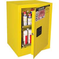 Armoire de s&eacute;curit&eacute; d'&eacute;tabli pour produits inflammables EX Sure-Grip, 24 gal., 1 Porte(s), 21" La x 27" h x 18" p Helyx Safety & Industrial Supplies