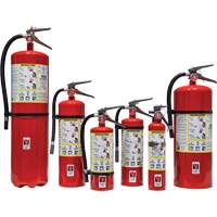 Extincteur d'incendie, ABC, Capacit&eacute; 30 lb Helyx Safety & Industrial Supplies