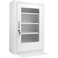 Medicine-Style Cabinets Helyx Safety & Industrial Supplies