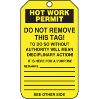 Inspection Tags, Cardstock, 3-1/8" W x 5-7/8" H, English Helyx Safety & Industrial Supplies