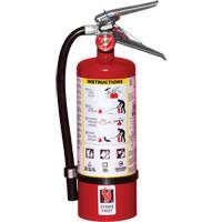 Extincteur d'incendie, ABC, Capacit&eacute; 5 lb Helyx Safety & Industrial Supplies