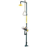 Combinaison de douche & douche oculaire/faciale a&eacute;r&eacute;e Safe-T-Zone Helyx Safety & Industrial Supplies