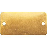 &eacute;tiquettes vierges, Laiton, 2" la x 1" h Helyx Safety & Industrial Supplies
