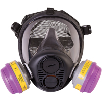Respirateur &agrave; masque complet de s&eacute;rie RU6500 de North, Silicone, Moyen Helyx Safety & Industrial Supplies