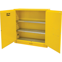 Flammable Storage Cabinet, 24 gal., 2 Door, 43" W x 44" H x 12" D Helyx Safety & Industrial Supplies