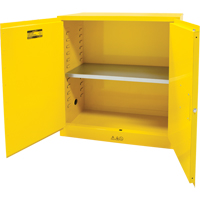 Armoire pour produits inflammables, 30 gal., 2 Porte(s), 43" La x 44" h x 18" p Helyx Safety & Industrial Supplies