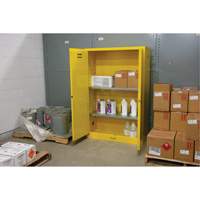 Flammable Storage Cabinet, 45 gal., 2 Door, 43" W x 65" H x 18" D Helyx Safety & Industrial Supplies