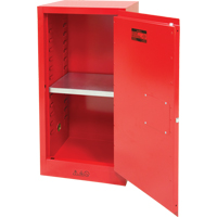 Paint/Ink Cabinet, 20 gal. Helyx Safety & Industrial Supplies