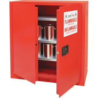 Armoire pour peintures et encres, 45 gal., 3 tablettes Helyx Safety & Industrial Supplies