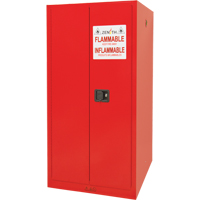 Paint/Ink Cabinet, 96 gal., 5 Shelves Helyx Safety & Industrial Supplies