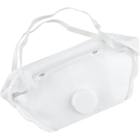 Respirateur contre les particules, N95, Certifi&eacute; NIOSH, Moyen/grand Helyx Safety & Industrial Supplies