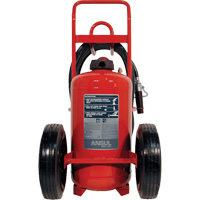 Extincteurs Red Line sur roues, BC, Capacit&eacute; 125 lb Helyx Safety & Industrial Supplies